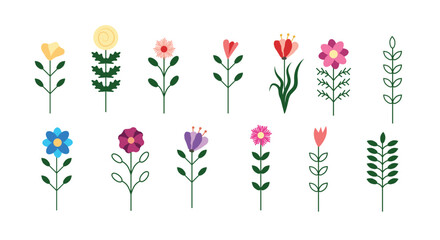 a set of colorful summer meadow flowers and plants flat style. nature and floral concept vector