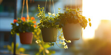 Colorful Hanging Flower Pots On Balcony. Vibrant Flower Pots Suspended On A Sunlit Balcony Railing.