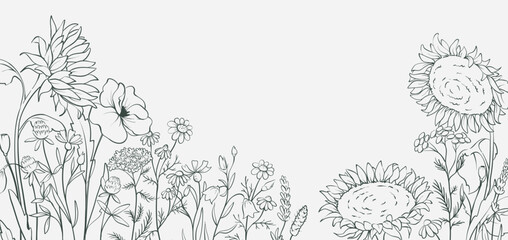 Wall Mural - Sunflowers and wild flowers. Sketch in lines, freehand drawing. Vector illustration, summer background, flower meadow.