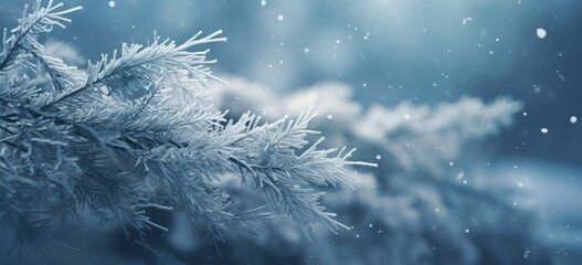 Wall Mural - A close-up macro shot capturing the delicate frost on a winter forest branch.