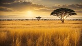Fototapeta Sawanna - Yellow fields in Kenya and beautiful sunrise in the Maasai Mara, Kenya during the summer.