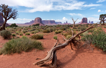 Wall Mural - a view in the monument valley. usa.