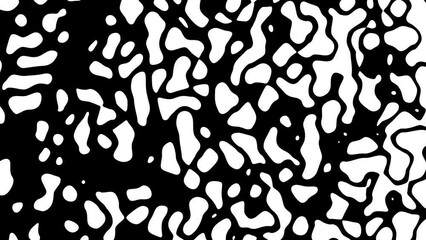 Poster - Abstract Waving black lines on white Background. Looping 4k animation of an abstract fractal digital lines background