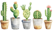 Watercolor Cacti In Pots, Varying In Shape And Size, With Flowers, Home Gardening, Succulents, White Background
