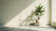 Amidst the quietude of the minimalist interior, a solitary potted plant stood as a symbol of life, adding a touch of organic warmth to the cool, clean space.
