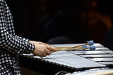 Fototapeta  -  Hands of a musician playing a vibraphone