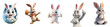 3D Render and Animation of Easter Bunny: Set in Different Styles, Cartoon Rabbit Character, Illustration, Isolated on Transparent Background, PNG