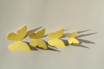 Poster - Yellow paper butterflies on light grey background, top view