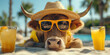 Funny image of brown cow wearing a straw hat and sunglasses on the sunny beach. Holliday summer conception