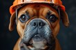 © Larisa AI - A hard-working boxer dog, adorned in a bright orange hard hat, stands tall with pride and determination, ready to tackle any task with its loyal snout and sturdy collar