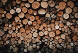 Fototapeta Las - stack of firewood