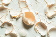 Isolated broken eggshell fragments on a white canvas whisper tales of vulnerability and resilience