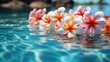 Pink frangipani flowers float on the surface of the pool water