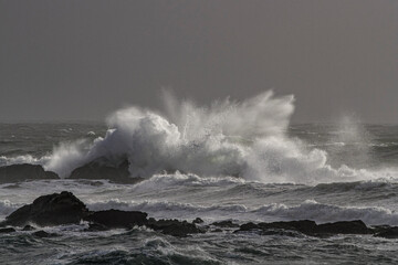 Poster - Sea wave splash