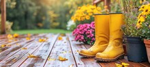 Sunny Spring Or Summer Garden With Flowerpots And Yellow Boots Gardening Background