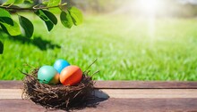 Three Painted Easter Eggs In A Birds Nest Celebrating A Happy Easter In Spring With A Green Grass Meadow Tree Leaves And Bright Sunlight Background With Copy Space Wooden Bench To Display Products