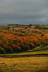  Vertical warm autumn landscape shot with sunlight on fields and dark grey sky.