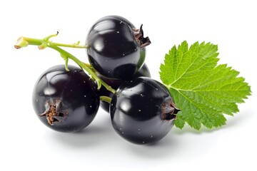 Black currant berries isolated on white background with clipping path