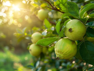 Poster - Fruit orchard