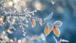 A frosty winter morning with ice crystals forming on branches and leaves glinting in the sun.