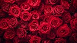 Fototapeta Kwiaty - Red roses background, Valentine's Day concept