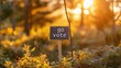 Blurred magical background with text  go vote    concept of voting and civic participation