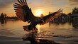 Silhouette of an eagle flying over the lake at a stunning sunset with smoke over the water