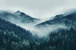 Misty foggy mountain peaks and forest. Beautiful natural landscape.
