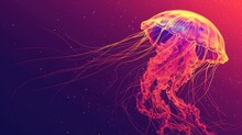  A Close Up Of A Jellyfish On A Purple And Red Background With A Pink And Red Background And A Red And Yellow Jellyfish In The Middle Of It's Head.