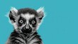  a black and white photo of a baby lemur looking at the camera with a surprised look on it's face, against a teal background of blue.
