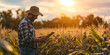 © 0livia - A rugged farmer, adorned in a traditional cowboy hat, stands among the golden fields of corn, his face lit up by the warm glow of the setting sun, as he checks on his crop using modern technology