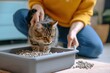 Close up banner design of woman cleaning cat litter tray at home
