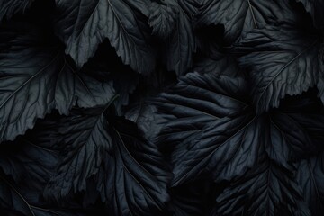 Poster - A close-up shot of a bunch of black leaves. Perfect for adding a touch of darkness and mystery to any project