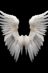 Poster - White wings on a black background. Versatile image for various themes and concepts