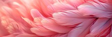 Beautiful Background Of Pink Feathers