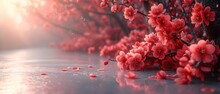  A Close Up Of A Bunch Of Flowers Near A Body Of Water With Drops Of Water On The Ground And A Tree With Red Flowers In The Middle Of It.