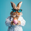 Osterhase in Doktorkittel mit einer lustigen Sonnenbrille und einem Osterei zum kurieren von Krankheiten