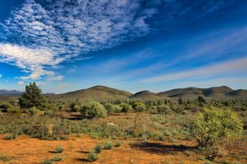 Wall Mural - Outback landscape with low, drought-resistant vegetation and low hills in the Flinders Ranges, South Australia, close to the village of Blinman
