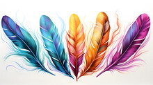 A Group Of Colorful Feathers