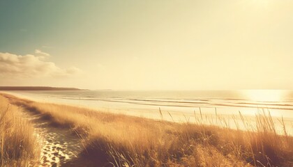 Wall Mural - serene seaside with dry grass warm sun tones soft shadows and calm serene atmosphere