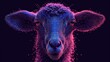  a close up of a sheep's face with a lot of dots on it's face and a black background with a pink and purple hued area.