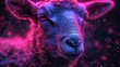 a close up of a sheep's face on a black background with pink and blue lights in the middle of the image and a blurry image of the sheep's head.