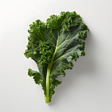 A Leafy Green Leafy Vegetable