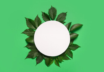 Composition with blank paper sheet and beautiful grape leaves on green background