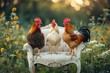 three roosters standing on a retro white armchair in the middle of green nature. Spring vibes. Surreal funny easter concept. Generative AI