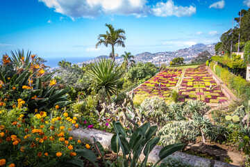 botanical garden in funchal, monte, madeira, jardim botanico madeira, garden, tropical flowers, view