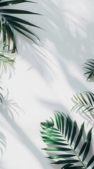 Poster - Tropical Palm Leaves and Shadows on a White Background