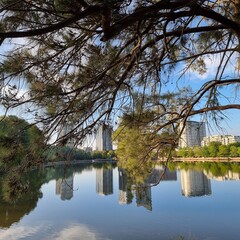 Trees, clouds and buildings reflected on the surface of Lake Ginninderra. Belconnen, Canberra ACT Australian Capital Territory Australia