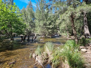 Cotter River in the Australian Capital Territory ACT Australia. Gently flowing river with tree lined banks
