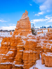 Wall Mural - Snowy Bryce Canyon